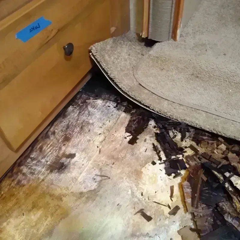 Best Wood Floor Water Damage Service in Culver, IN